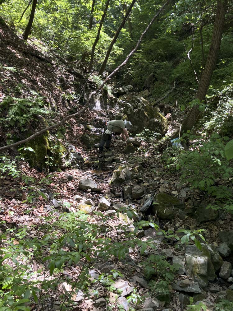 Fieldwork in South Korea, May 2026